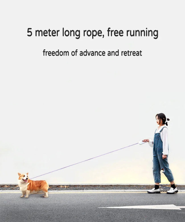 LumiPaw Night Leash