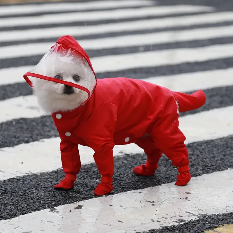 All-Weather Pet Rainwear