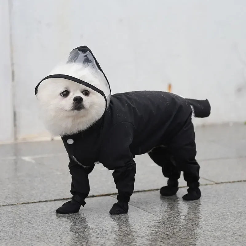 All-Weather Pet Rainwear