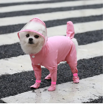 All-Weather Pet Rainwear