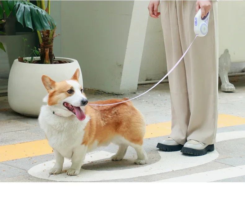 LumiPaw Night Leash