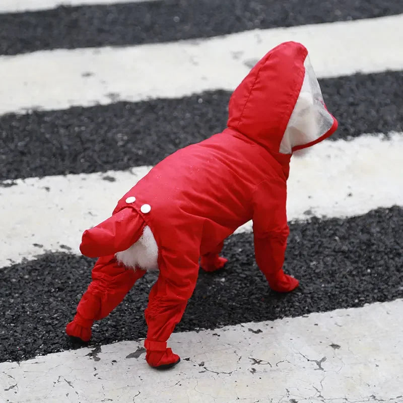 All-Weather Pet Rainwear